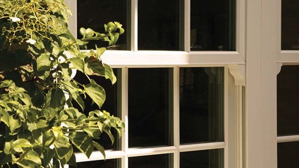 Close-up of a white uPVC-framed window with grid panes. Sunlight highlights part of the frame, and leafy green plant branches are visible on the left side, creating a fresh look often seen in Horsham homes.